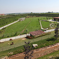 Il Parco
