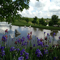 Il Parco