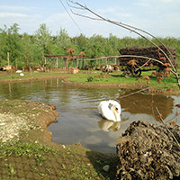 Il Parco