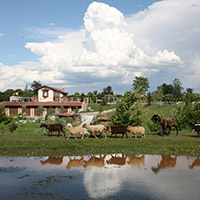 Il Parco