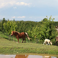 Il Parco